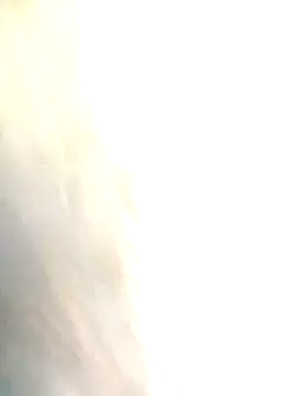 Sexy_b_1 webcam