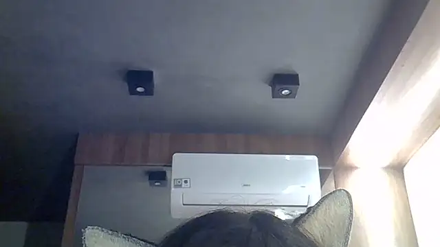 SkinnyKitten webcam