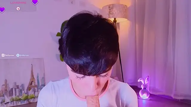 sebbyrose webcam