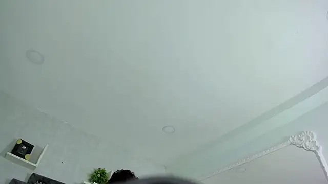 DalayMoore webcam