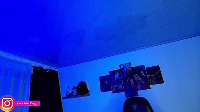 Nicorobinn webcam