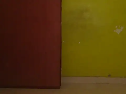 Stubborndesiboy webcam