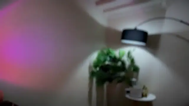 apple_manggo webcam