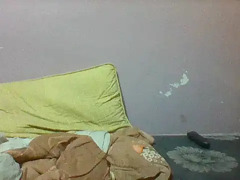mislover webcam