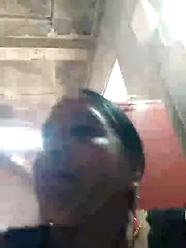 Loomaraj webcam