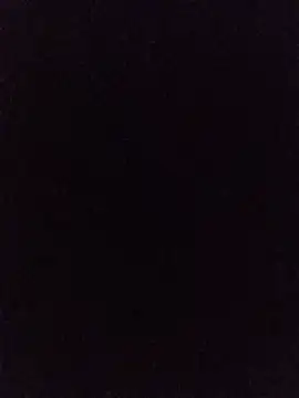 hairy_mannn webcam