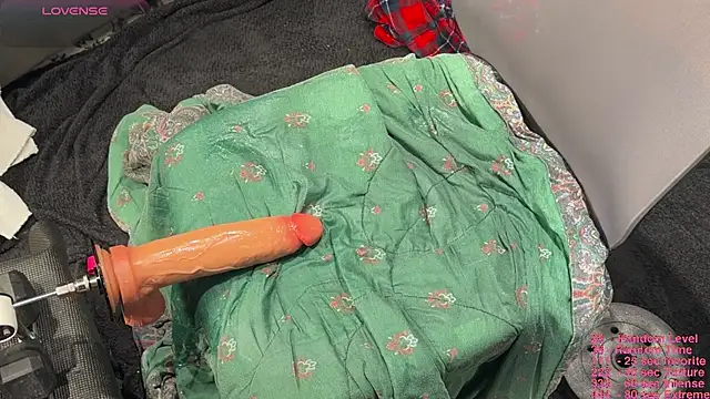 Toronto325 live webcam show