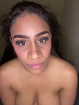 xandrap webcam