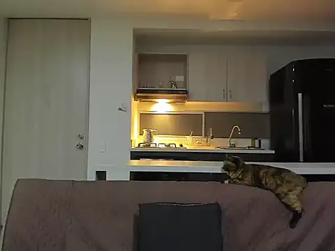 Alexander_Martines webcam