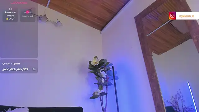 artemis_nyx live webcam show