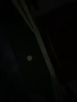 Abby_Collings webcam