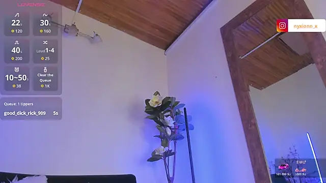 artemis_nyx webcam