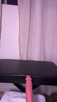 allpawgsgotoheaven webcam