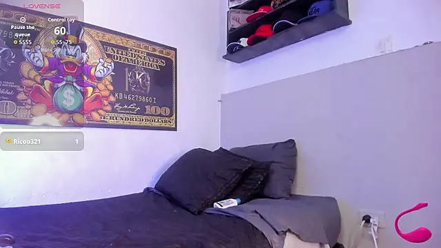 teo_swt webcam