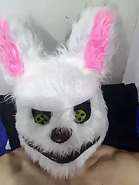 Happy_rabbith webcam