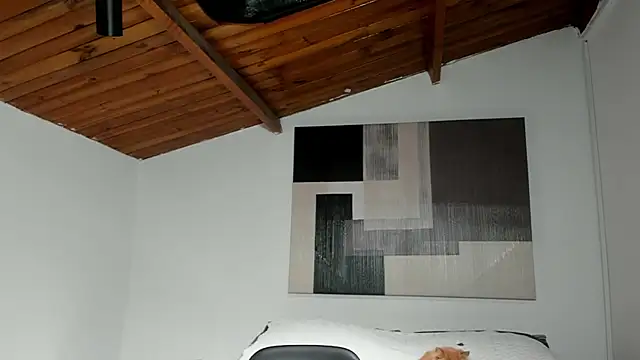 laylavg webcam