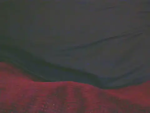 TransCya2024 webcam