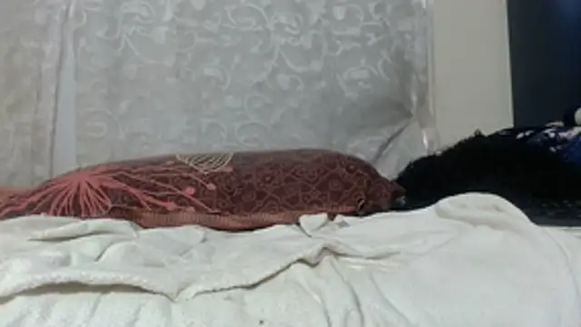 Bunnyxx01 webcam