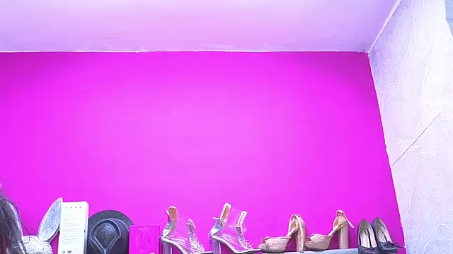 KRYSSTARITTER4 webcam