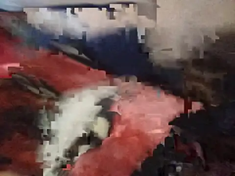 paptsimo webcam