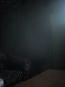 TampedLint webcam