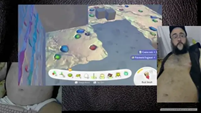 BriTheTopBear webcam