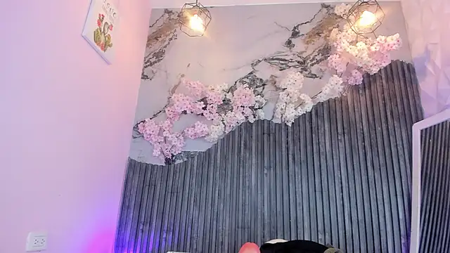 Zephyra_bms webcam