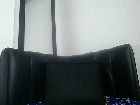 Smitt-21cm webcam