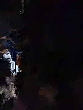 Pleasur3palac3 webcam