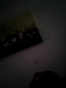 Keitjoliie webcam