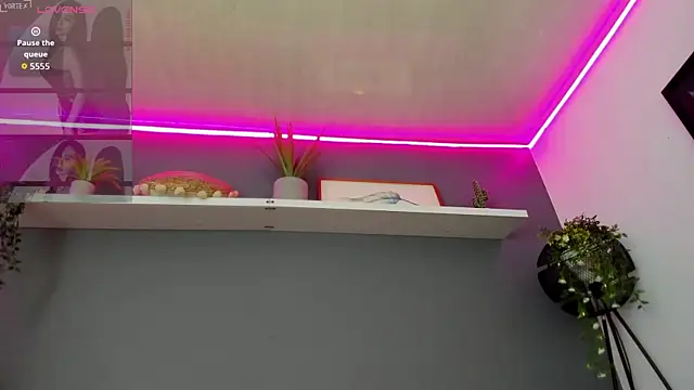Abbyy_stone webcam