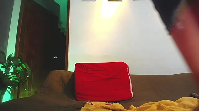 shellsy_hans webcam