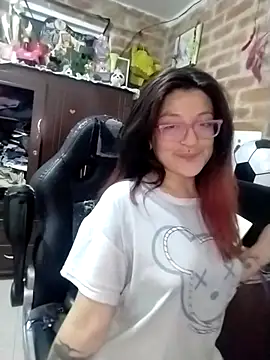 _Alaskamisa webcam
