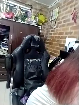 _Alaskamisa webcam