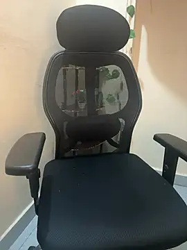 -Simii