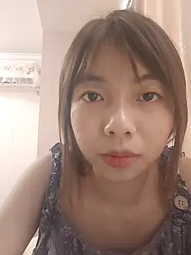 NN-833 webcam