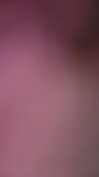 ZeldaSneakyLink webcam