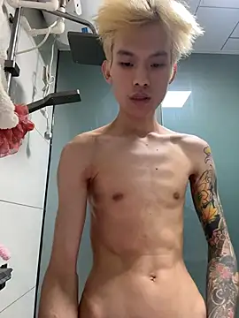 KPL-11 webcam