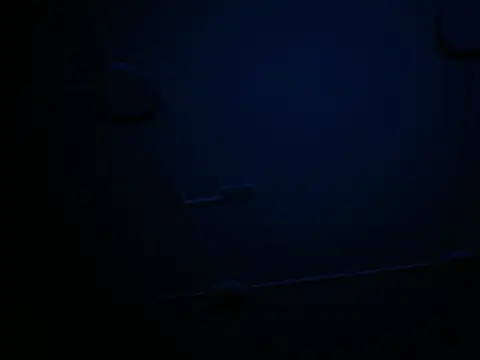 VickyWalles webcam