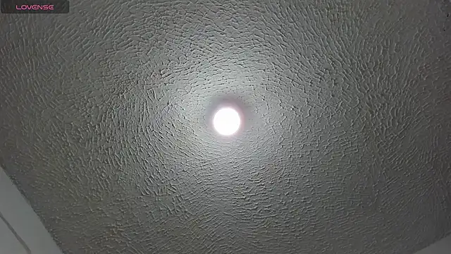 WhyNotDestroy webcam