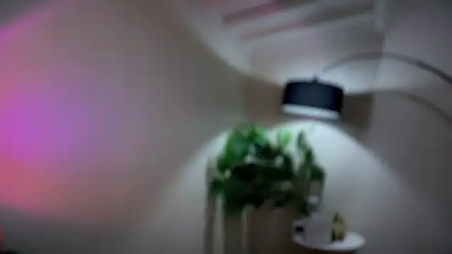 apple_manggo webcam