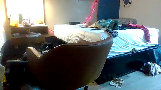 Dicksee_Left webcam