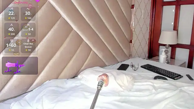 KaelSoft_ webcam