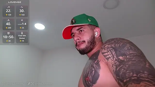 king_falconer webcam