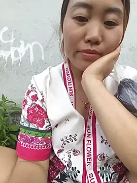 he-se-kin webcam