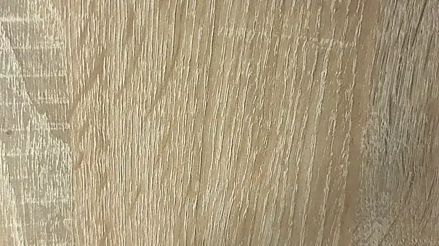 NoFace_Model webcam