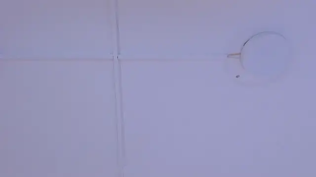 TokyoHaskel webcam