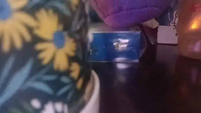 PrestonSteel live webcam