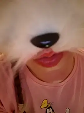 Spritzmaus's cam show statistics and live stream