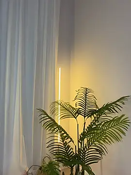 oopsie_boobsie webcam